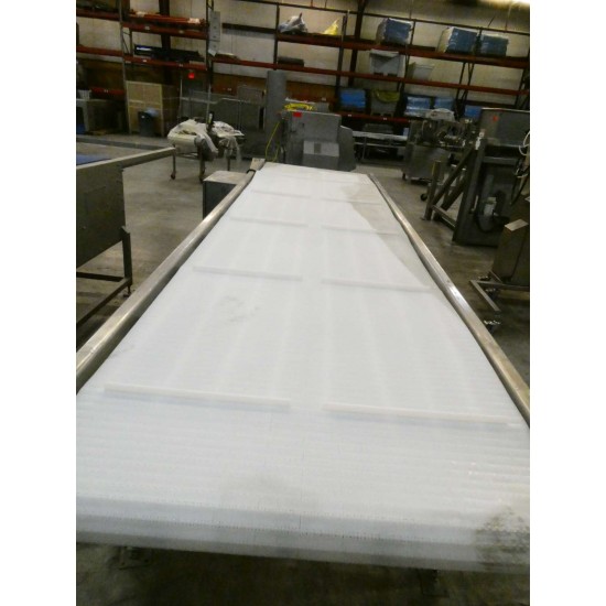 HORIZONTAL MOTORIZED INTRALOX CONVEYOR